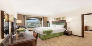 فندق أنجم المتميز