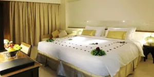 حجوزات فنادق المدينة